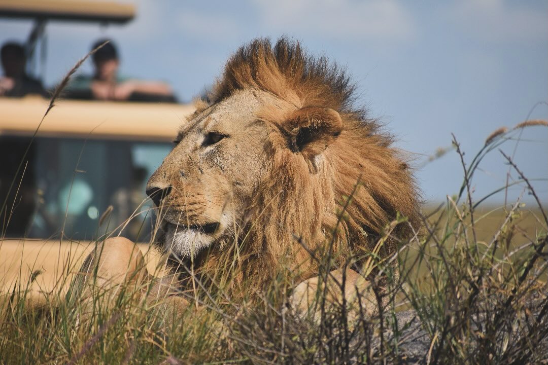 7wonderssafaris_tz_1717670850_3384390853227369695_3752293011