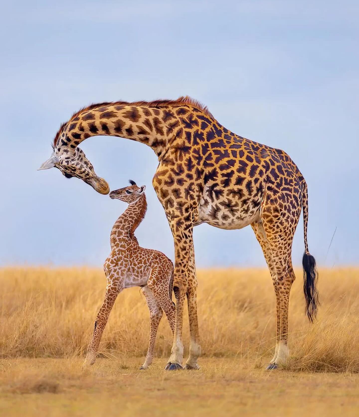 7wonderssafaris_tz_1718090775_3387913439497224000_3752293011