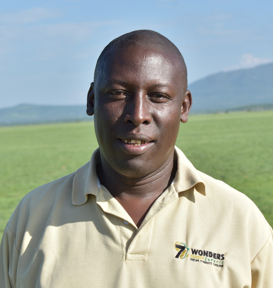 THOBY Transfer Guide