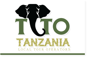 tlto logo
