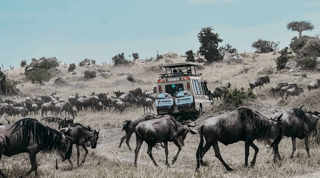 we take you very close