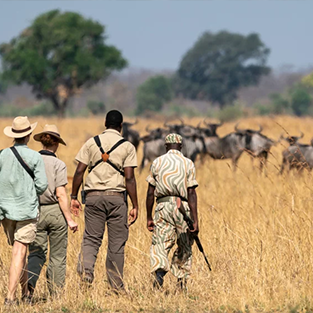 walking_safaris